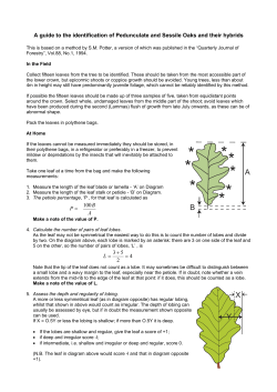 A guide to the identification of pedunculate and sessile oaks and