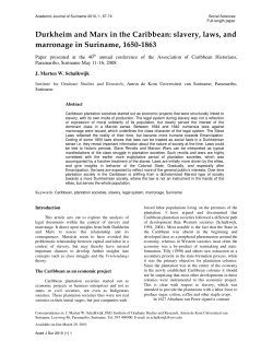 Durkheim and Marx in the Caribbean: slavery, laws, and marronage