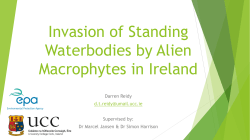Invasion of standing water bodies by alien macrophytes