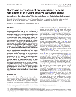 Disclosing early steps of protein-primed genome replication of the