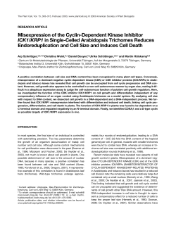 Misexpression of the Cyclin-Dependent Kinase