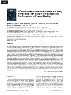 2016-N6-Methyladenosine-RNA - Nuclear Magnetic Resonance