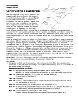 HB 17 Lab- Constructing a Cladogram