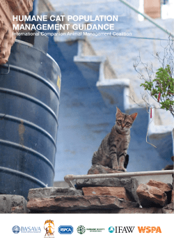 Humane cat population management guidance