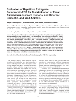 Evaluation of Repetitive Extragenic Palindromic
