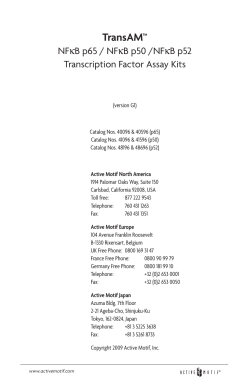 Active Motif - TransAM NFkB manual