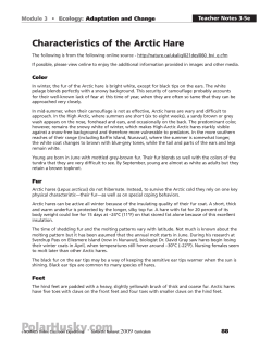 Characteristics of the Arctic Hare - GoNorth!