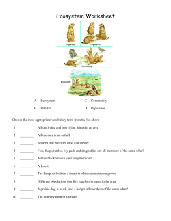 Ecosystem Worksheet