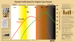 Percentage of a sample that contains 150 pods Harvestable SMK