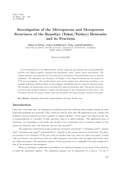 Investigation of the Microporous and Mesoporous