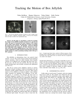 Tracking the Motion of Box Jellyfish