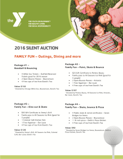 2016 SILENT AUCTION FAMILY FUN