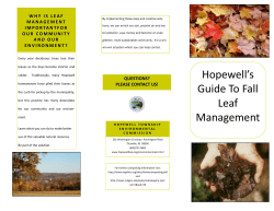Guide To Fall Leaf Management