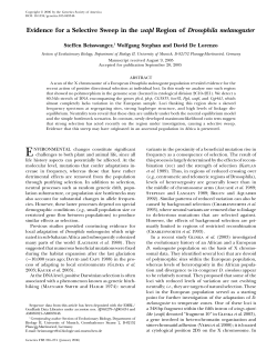 Evidence for a Selective Sweep in the wapl