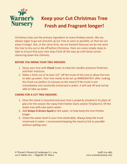 Cut tree care guide - Warner`s Nursery and Landscaping