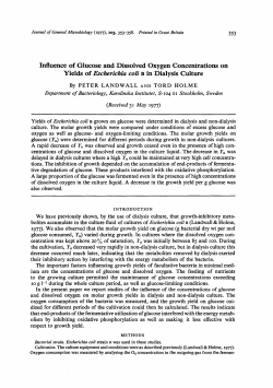 Influence of Glucose and Dissolved Oxygen