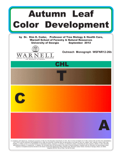 Fall Color pub 12-26 - Warnell School of Forestry and Natural