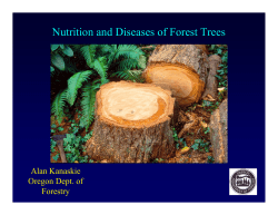 Nutrition and Diseases of Forest Trees