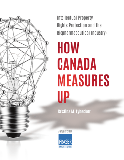 Intellectual Property Rights Protection and the