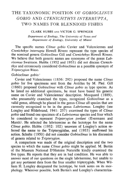 The Taxonomic Position of Gobioclinus Gobio