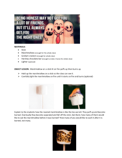 MATERIALS: &bull; Stick &bull; Marshmallows &bull; Graham crackers &bull; Lighter
