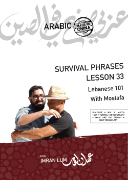 arabicmadeinchina
