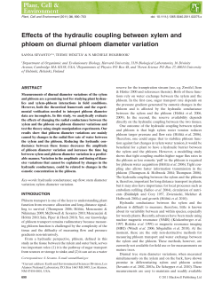 Effects of the hydraulic coupling between xylem and phloem on