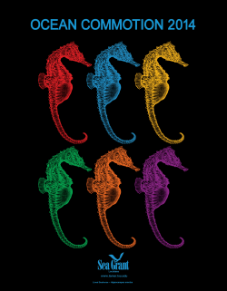 2014 Lined Seahorse - Louisiana Sea Grant