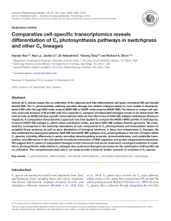 Comparative cell-specific transcriptomics reveals differentiation of