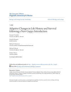 Adaptive Changes in Life History and Survival following a New