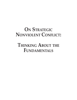 on strategic nonviolent conflict: thinking about the fundamentals