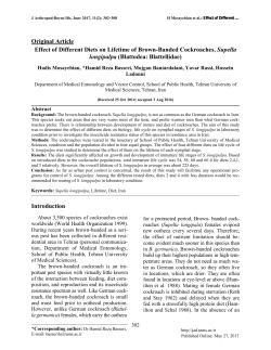 Original Article Effect of Different Diets on Lifetime of Brown