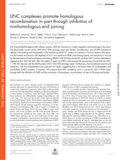Fig. 2 A - The Journal of Cell Biology