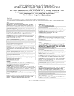 Lewis_Tree_Flyer_2015, v1