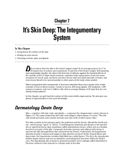 Chapter 7 It`s Skin Deep: The Integumentary System