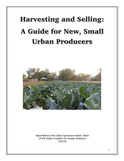Harvesting and Selling: A Guide for New, Small Urban Producers