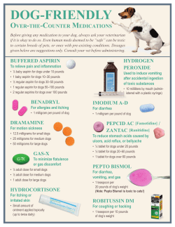 Dog-Friendly Over-the