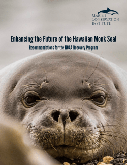 Enhancing the Future of the Hawaiian Monk Seal