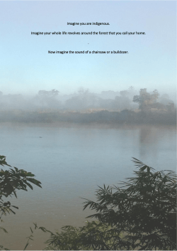 Imagine you are indigenous. Imagine your whole