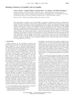 Monolayer Structure of Arachidic Acid on Graphite