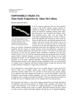 IMPOSSIBLE OBJECTS: Man-Made Fulgurites by Allan McCollum