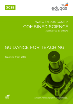 Guidance for teaching pdf | GCSE