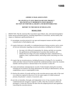 official pdf version - American Bar Association