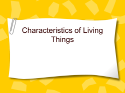 Characteristics of Living Things