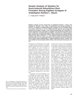 Genetic Analysis of Variation for Auxin