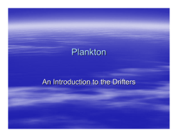 Plankton The Drifters