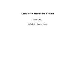 Lecture 19 Membrane Protein
