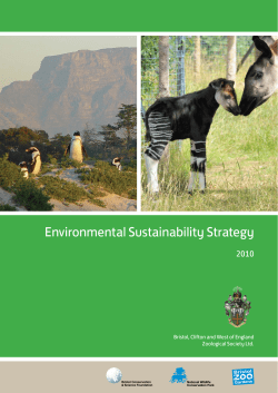Environmental Sustainability Strategy