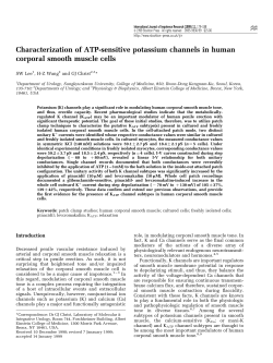Characterization of ATP-sensitive potassium channels in