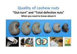 Quality of cashew nuts - African Cashew initiative